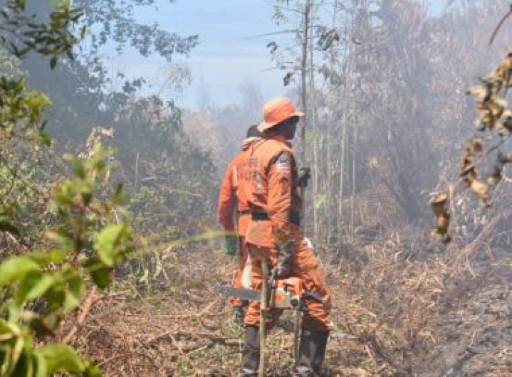 Porto Seguro: Combate a fogo em reserva indígena completa seis dias