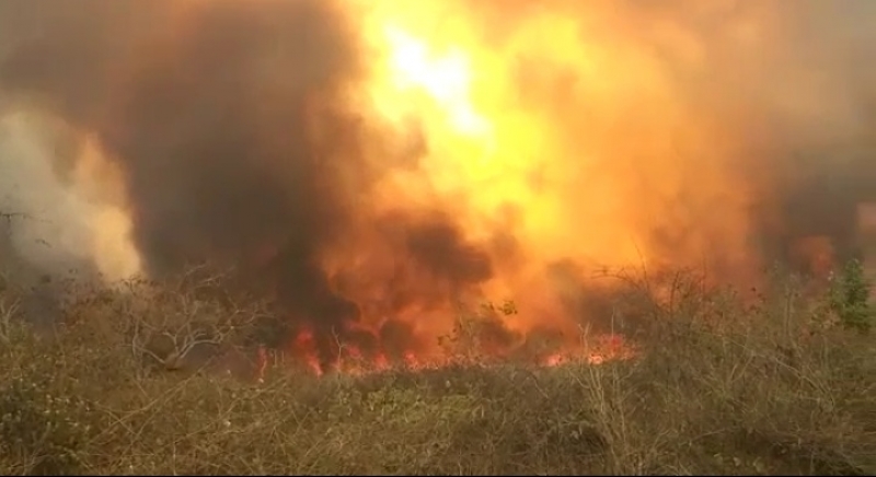 Urgente : Incêndio de grandes proporções volta a atingir Região de Lagoa Preta