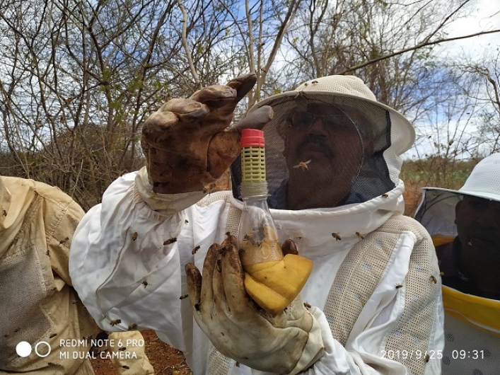 Secretaria de Desenvolvimento agrário realiza curso de apicultura