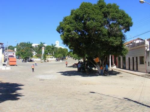Prefeitura 

decreta situação de emergência por conta da seca em Tremedal