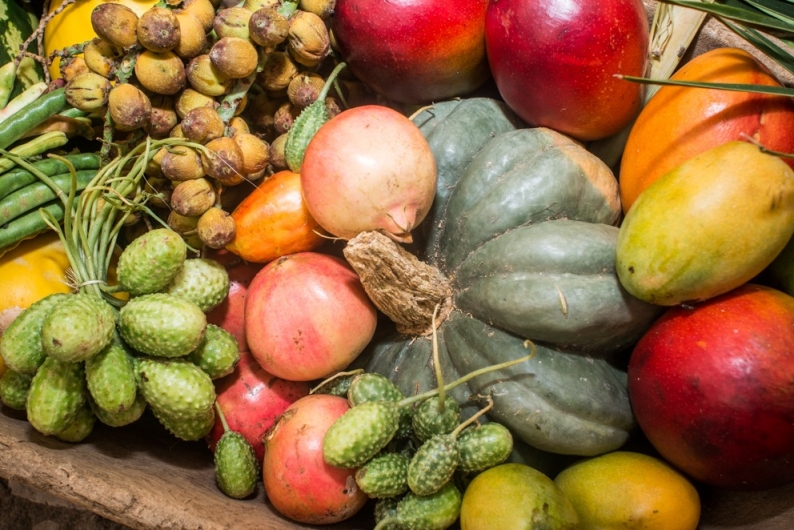 Agricultura familiar segue produzindo alimentos nutritivos e saudáveis