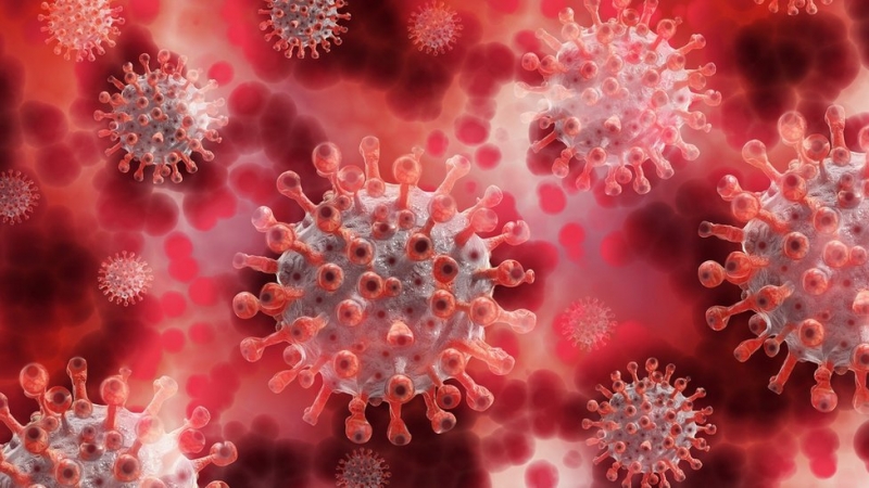 O Brasil confirmou os seis primeiros casos de Covid-19 causados pela variante ômicron do coronavírus.