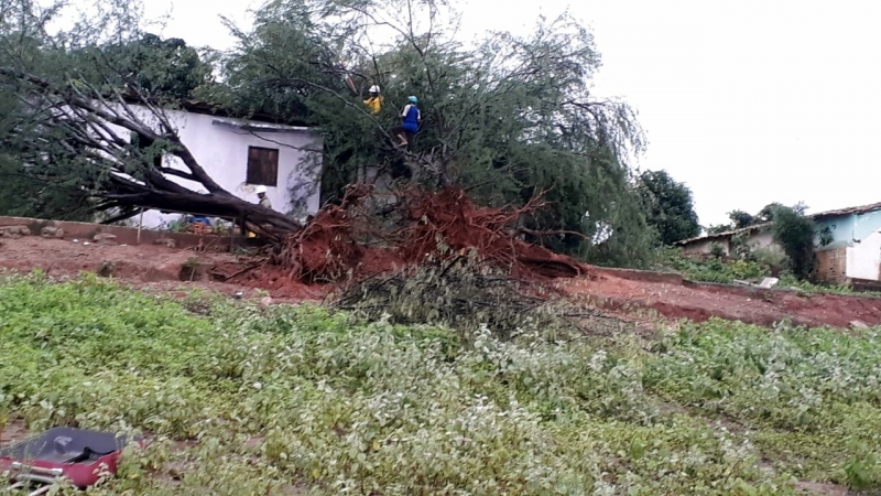 Tempestade em Tremedal derruba árvores e destelha casas