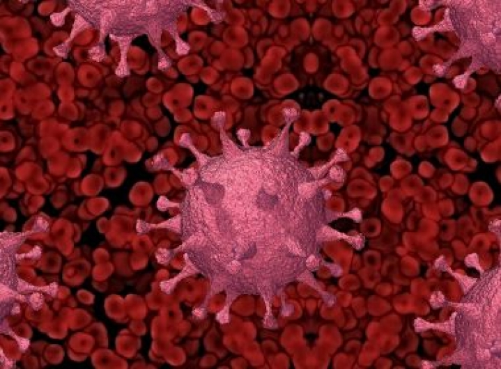 Cientistas identificam que anticorpos da Covid podem durar até 12 meses após infecção
