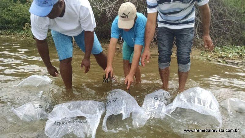 Associação de pescadores solta 60 mil filhotes de peixes na represa de Tremedal